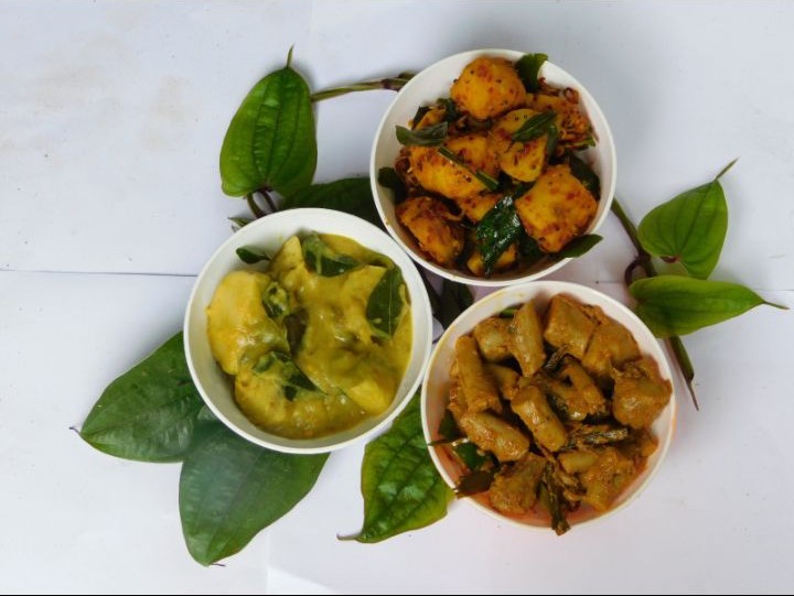 Yam and root crops cultivated on the model farm